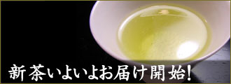新茶