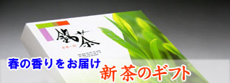 新茶ギフト