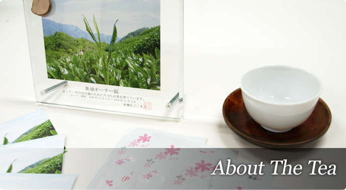 About The Tea