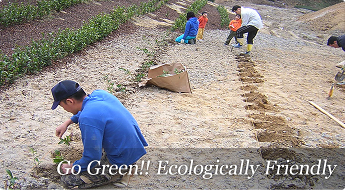 Go Green!! Ecologically Friendly