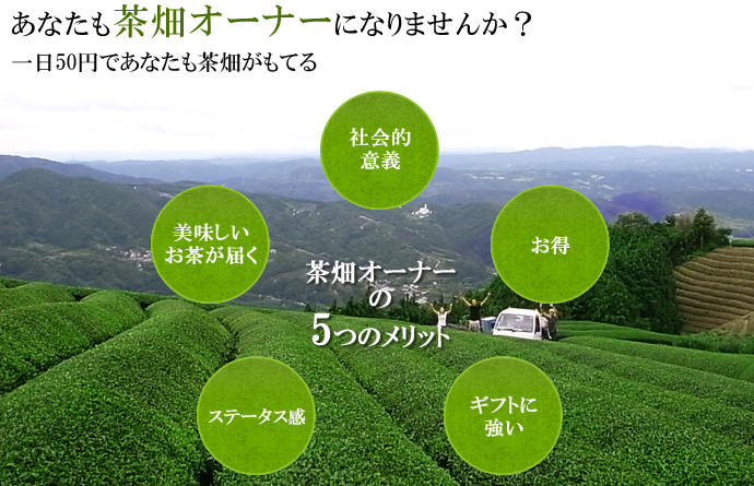 あなたも茶畑オーナーになりませんか？