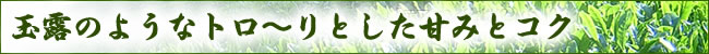 ��Ϫ�Τ褦�ʥȥ�����Ȥ����Ťߤȥ���