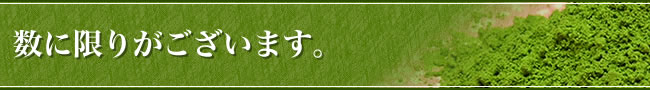 数に限りがございます。