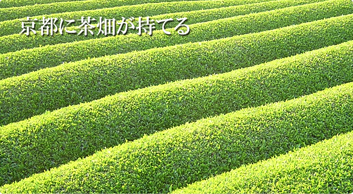 オーナー様24の特典