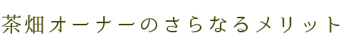 茶畑オーナーのさらなるメリット