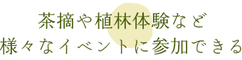 茶摘みや植林体験など様々なイベントに参加できる