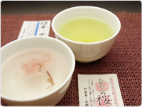 三月　日本一早い新茶・桜茶(提携茶園で収穫）