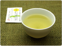 十月　秋の新茶(オーナー様の茶畑で収穫）