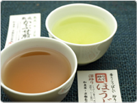 十二月　熟成かぶせ煎茶(オーナー様の茶畑で収穫）