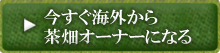 今すぐ海外からオーナーになる