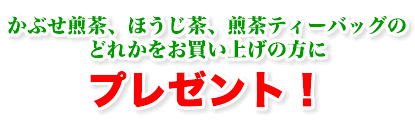 かぶせ煎茶、ほうじ茶、煎茶ティーバッグのどれかをお買い上げの方にプレゼント！