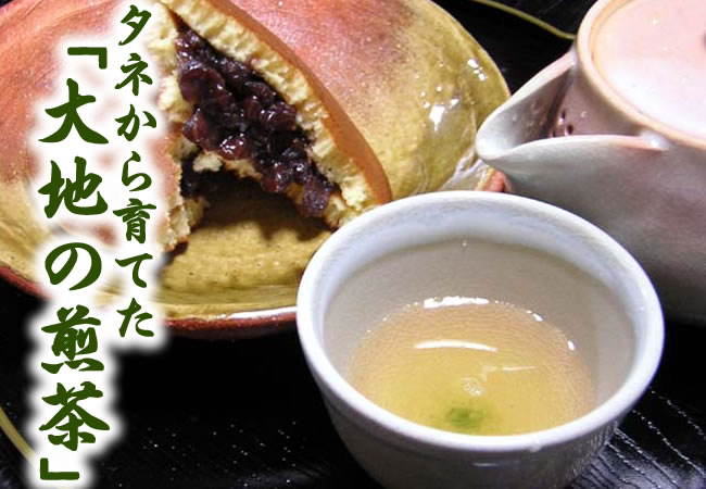 タネから育てた「大地の煎茶」