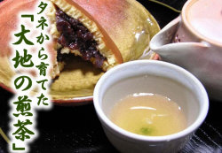 大地の煎茶