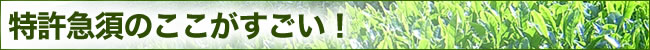 特許急須のここがすごい!