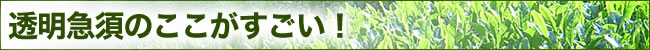 割れない急須のここがすごい!